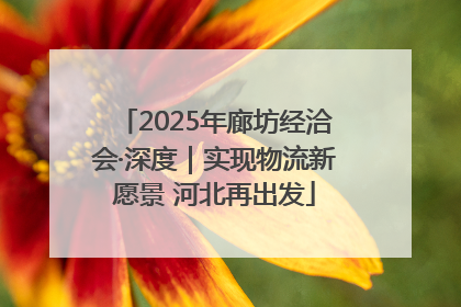 2025年廊坊经洽会·深度｜实现物流新愿景 河北再出发